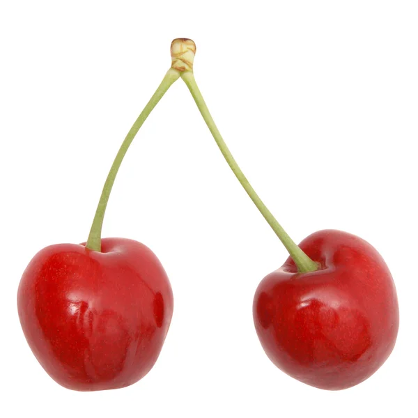 Две вишни — стоковое фото