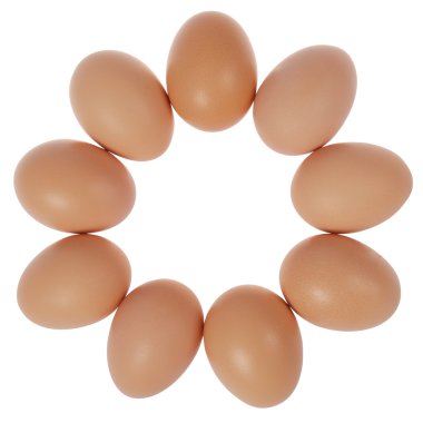 Daire içinde dokuz yumurta