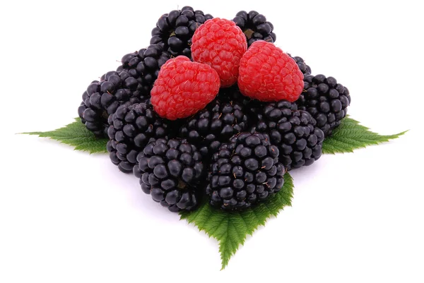 Raspberries and blackberries on the green leaves — Stock Photo, Image
