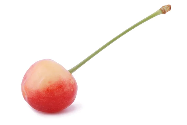 One red cherrie — Stock Photo, Image