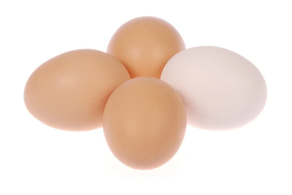 Четыре яйца. Одно яйцо белое . — стоковое фото