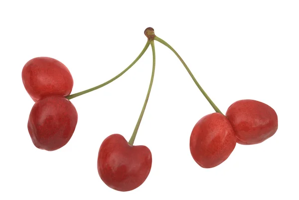 Uncommon cherries — Stock Photo, Image
