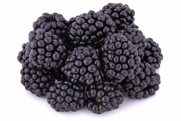 The blackberry — Stock Photo, Image