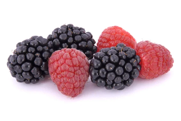 Raspberries and blackberries Stock Image