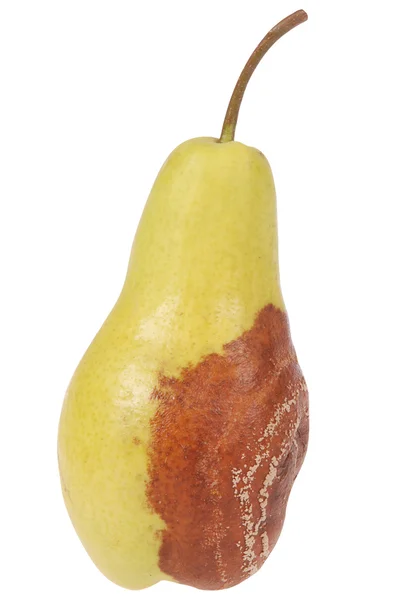 Ett ruttet päron på vit — Stockfoto