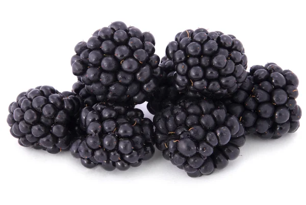 The blackberry — Stock Photo, Image