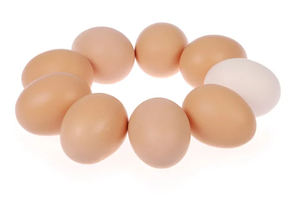 Nine eggs — Stock Photo, Image