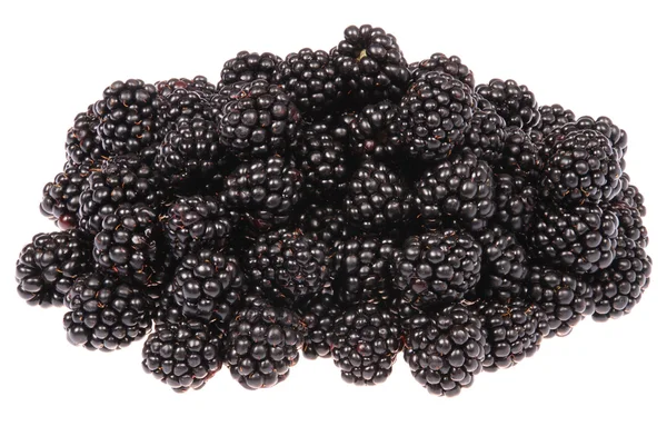 一大堆黑莓 — 图库照片