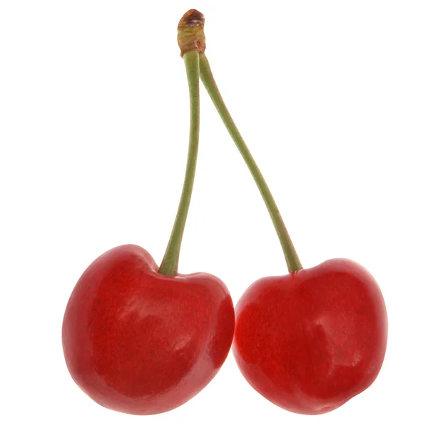 Två röda körsbär — Stockfoto