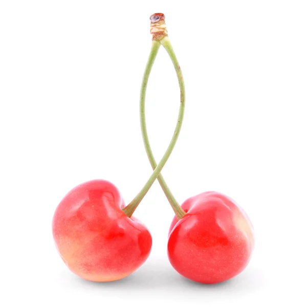 Due ciliegie rosse — Foto Stock