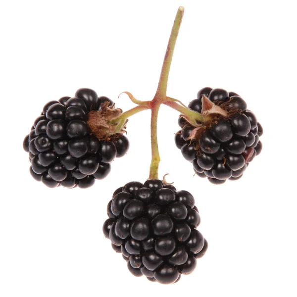 黑莓手机 — 图库照片