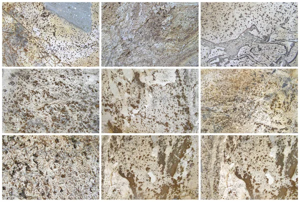 Twelve Natural Limestone Background or textures — Stock Photo, Image