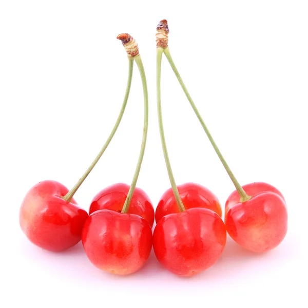 Редкие красные вишни — стоковое фото