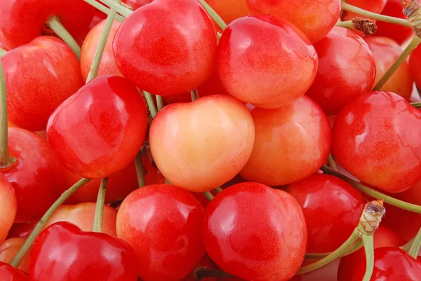 Красные вишни крупным планом — стоковое фото