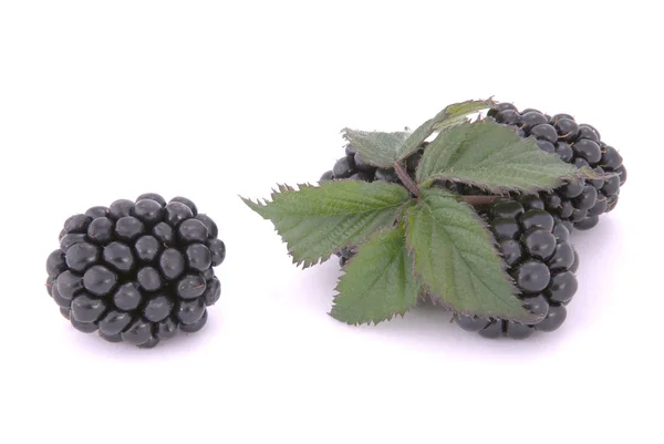 Blackberrys com folhas — Fotografia de Stock