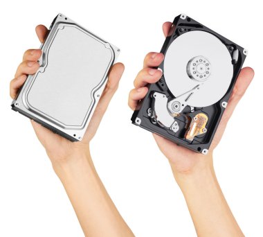 Hard disk in hand clipart