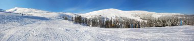 Panorama of beautiful winter landscape clipart