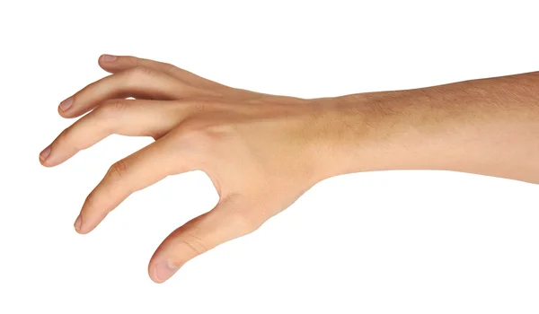Male hand — Stock Photo, Image
