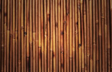 Bamboo texture clipart