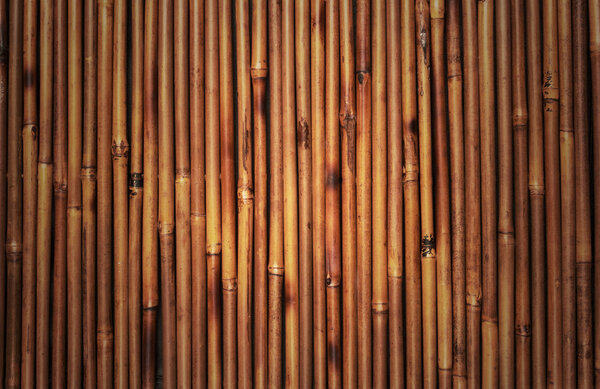 Bamboo texture
