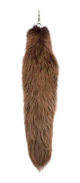 Fur tails — Stock Photo, Image