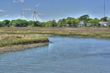 Ocean Landscape with Ravenal Bridge in Charleston, SC clipart