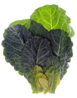 Fresh Collard Greens clipart