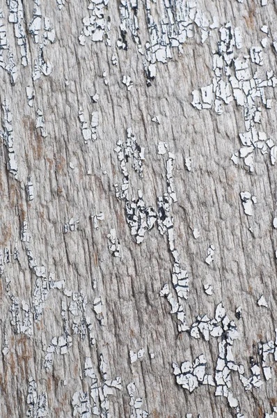 Textura de madeira antiga fundo — Fotografia de Stock