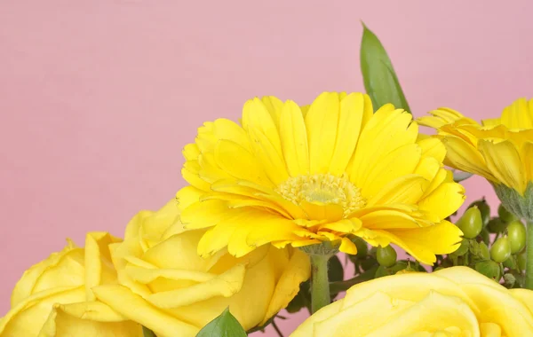 Fundo vibrante flor amarela — Fotografia de Stock