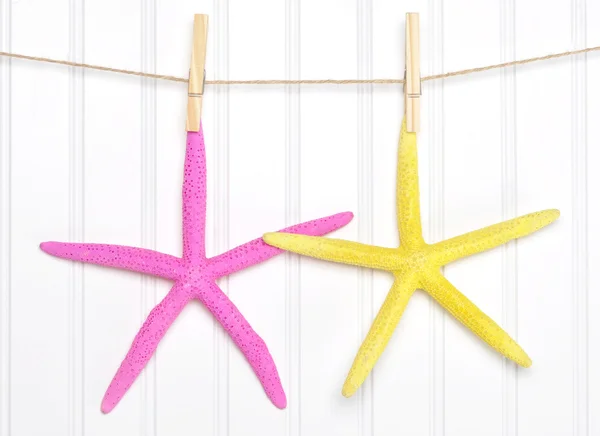 Summer Starfish em um Clothesline — Fotografia de Stock