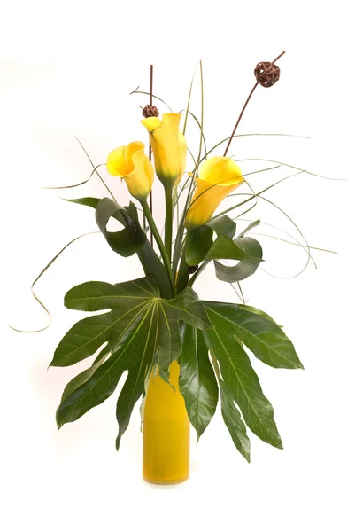 Bouquet di calli gialle su bianco — Foto Stock