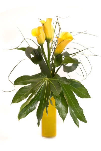 Yellow callas bouquet on white — Stock Photo, Image