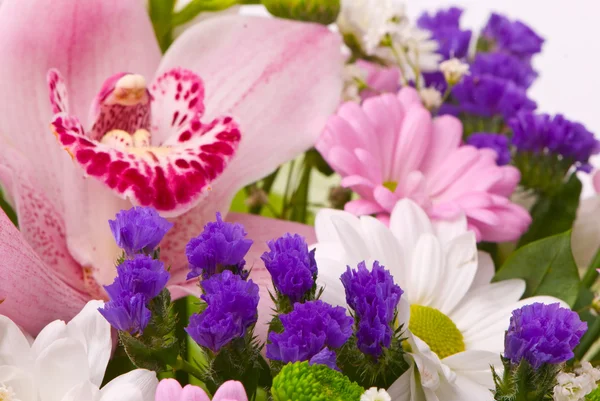 Nádherná kytice na bílé — Stock fotografie