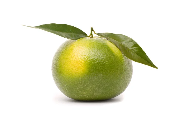 Соковитий грейпфрут ізольований на білому тлі . — стокове фото