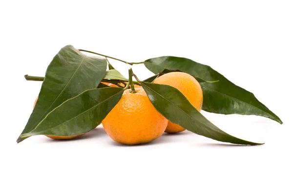 Juicy tangerine isolated on a white background. — Stock Photo, Image