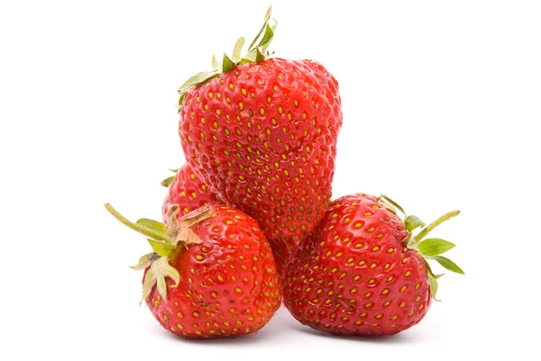En moden jordbær på hvid - Stock-foto
