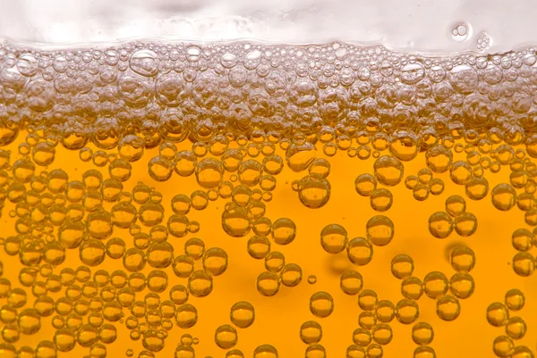 Primer plano de burbujas de cerveza — Foto de Stock