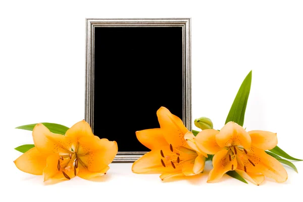 白色背景上的黄色百合花和银色框架 — 图库照片