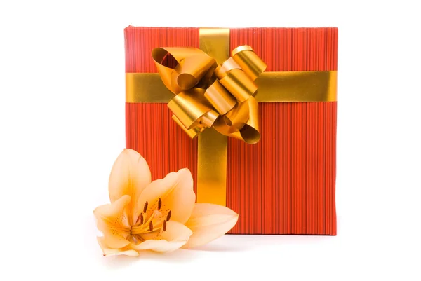 Giallo giglio e scatola regalo su sfondo bianco — Foto Stock