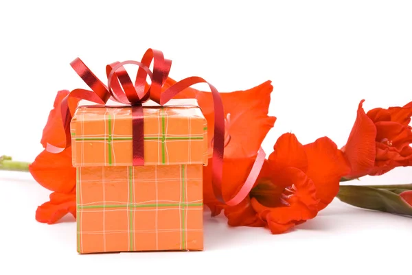 Schöne Gladiolen und Geschenkschachtel auf weißem Hintergrund. — Stockfoto
