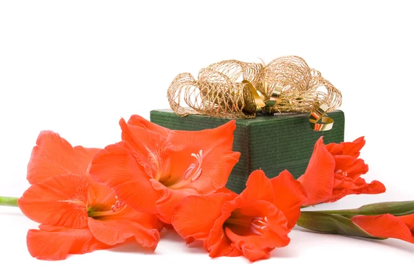 Schöne Gladiolen und Geschenkschachtel auf weißem Hintergrund. — Stockfoto