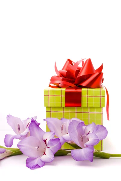 Vacker gladiolus och presentförpackning på en vit bakgrund. — Stockfoto