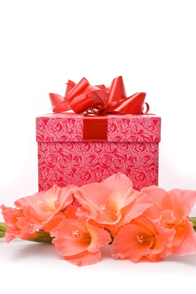 Beautiful gladiolus and gift box on a white background. — Stock Photo, Image