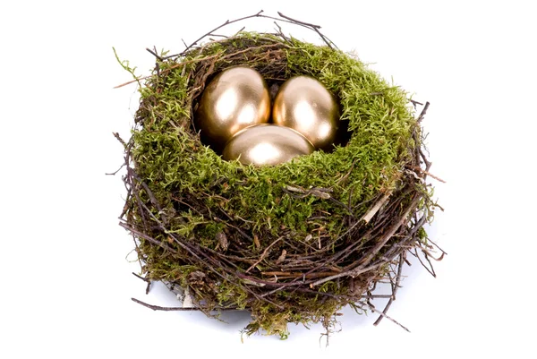 三个金蛋在白色背景上孤立的巢 — 图库照片