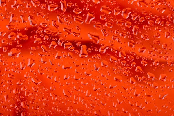 Abstracto rojo gotas de agua fondo —  Fotos de Stock