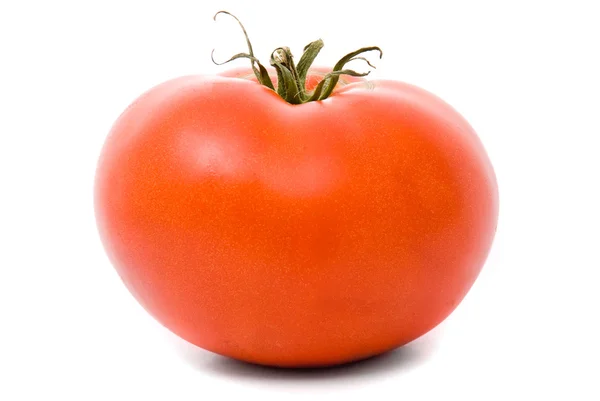 Beyaz arka planda taze domates — Stok fotoğraf