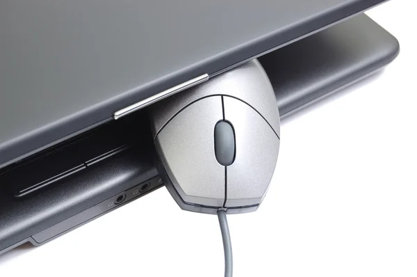 Computer mouse in the laptop — Stock Photo, Image