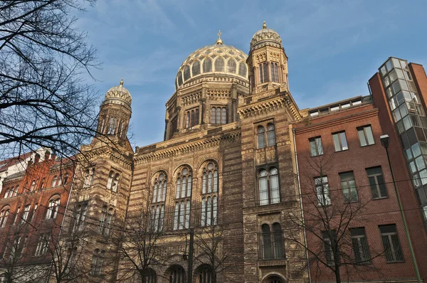 Neue synagoge, berlin, Almanya — Stok fotoğraf
