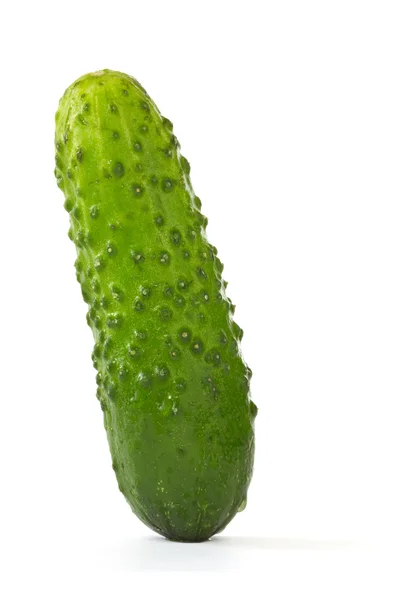 Immagine di un cetriolo verde — Foto Stock