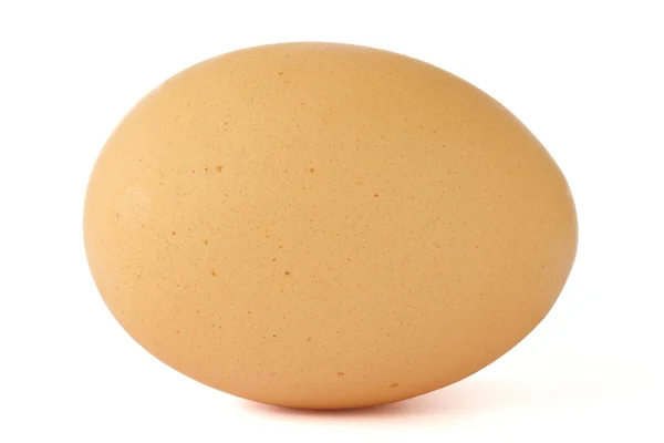 Brown chicken egg — Stock Photo, Image
